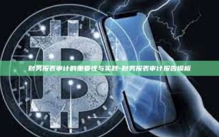 财务报表审计的重要性与实践-财务报表审计报告模板
